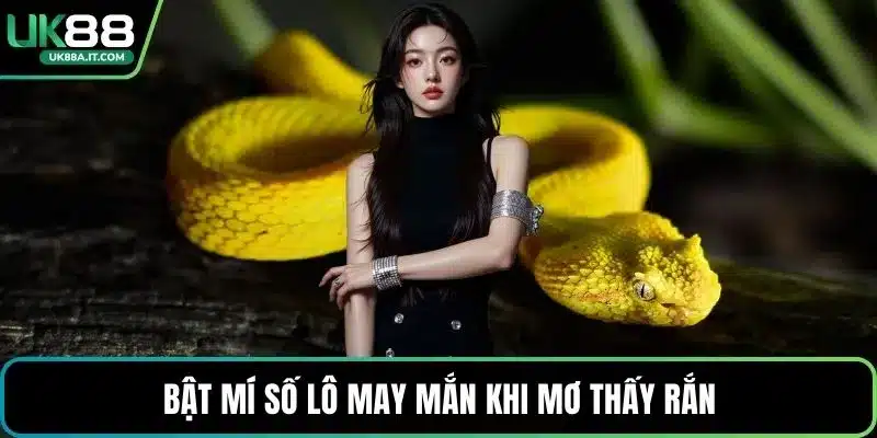Bật mí số lô may mắn khi mơ thấy rắn